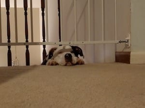 Overdue update, and epilogues